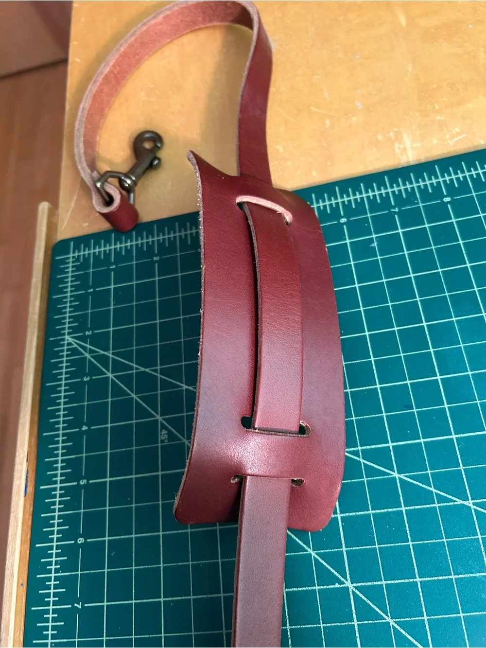 Go Forth Goods Crossbody Strap - Picture 4 of 6